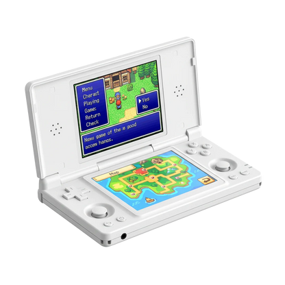 The Pokket™ RG DS